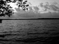 photos 2000-200901728
